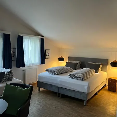 Hotell Alpsu Disentis