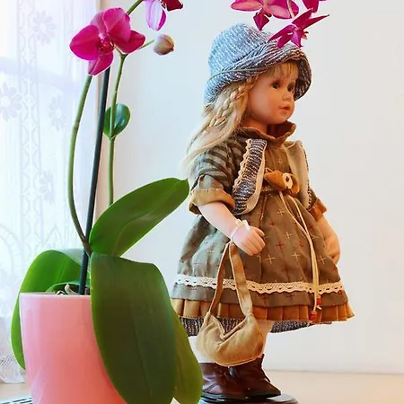 Hotell Alpsu Disentis