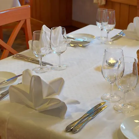 Alpsu Hotel Disentis