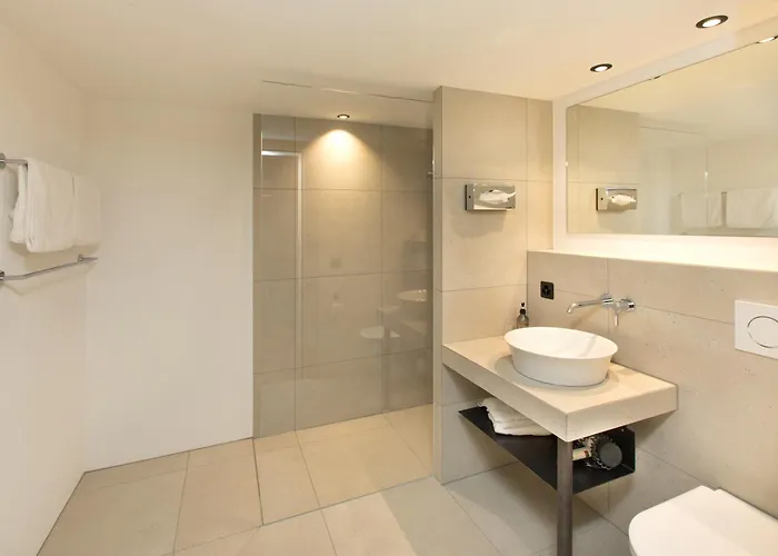 Alpsu Hotel Disentis