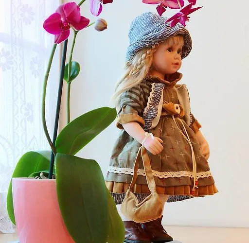 Hotel Alpsu Disentis