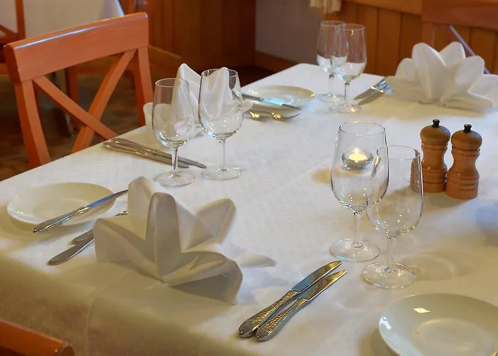 Alpsu Hotel Disentis