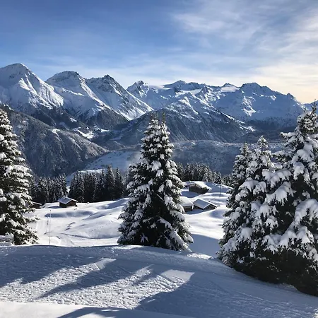 Hotel Alpsu Disentis