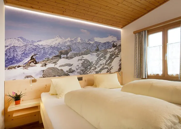 Alpsu Hotel Disentis