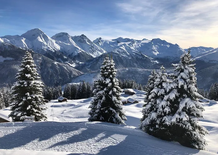 Hotel Alpsu Disentis