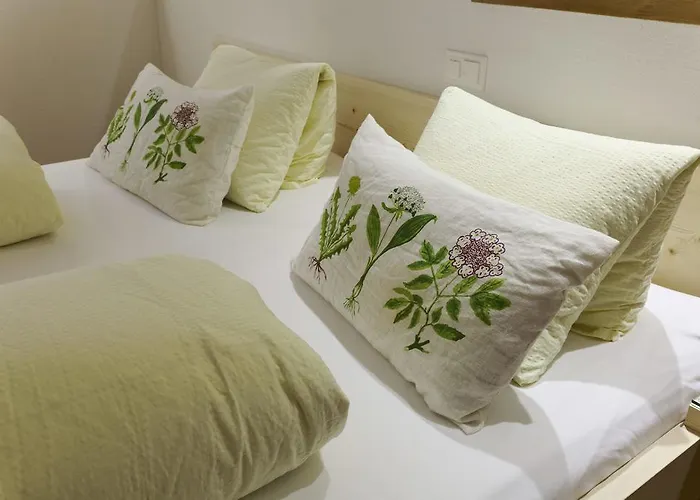 Hotel Alpsu Disentis