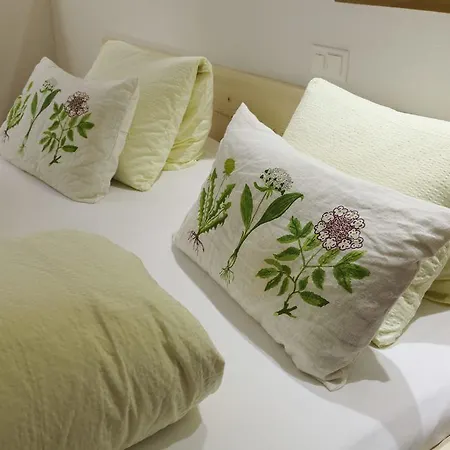 Hotell Alpsu Disentis